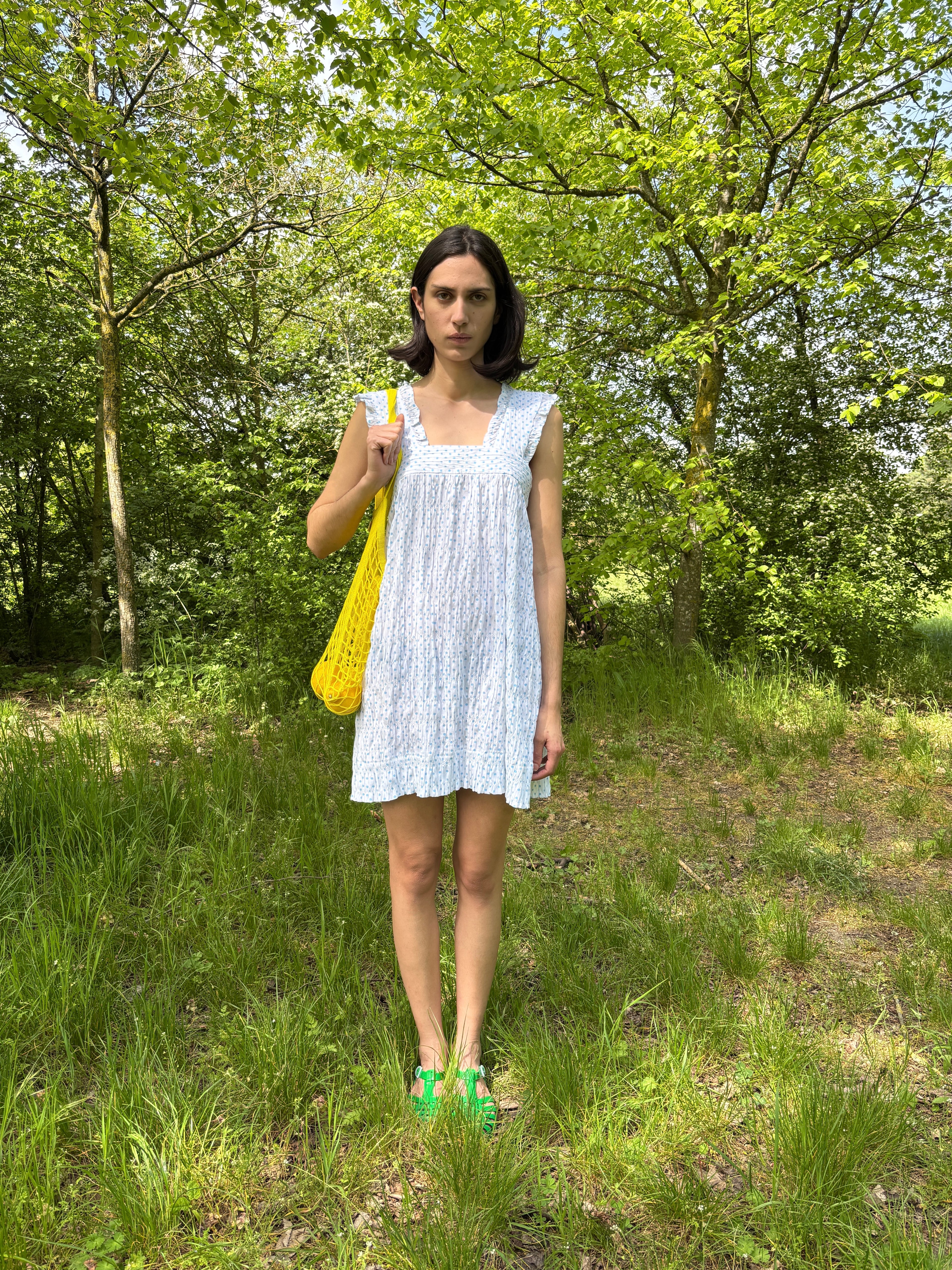 Picnic Dress