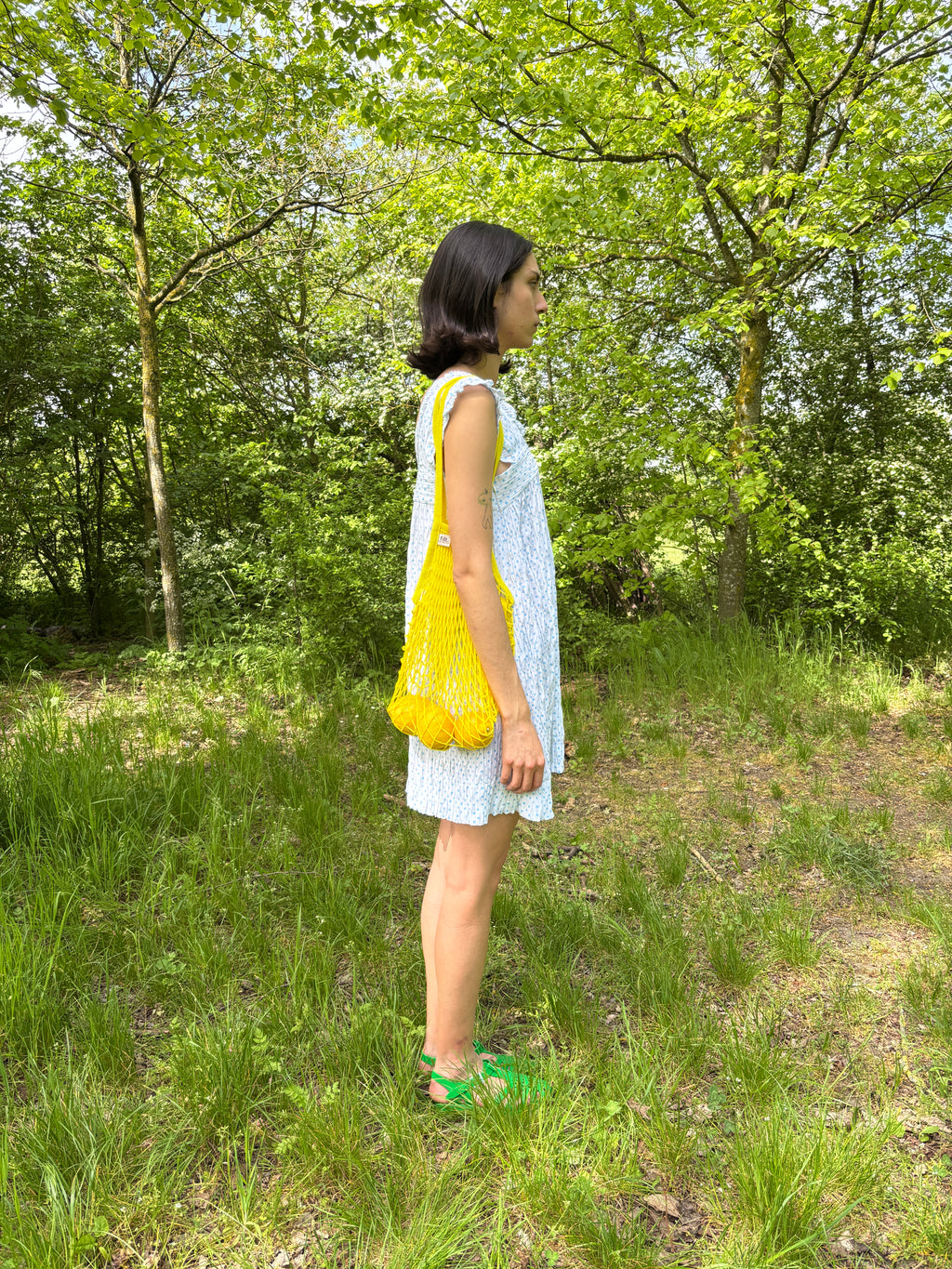 Picnic Dress