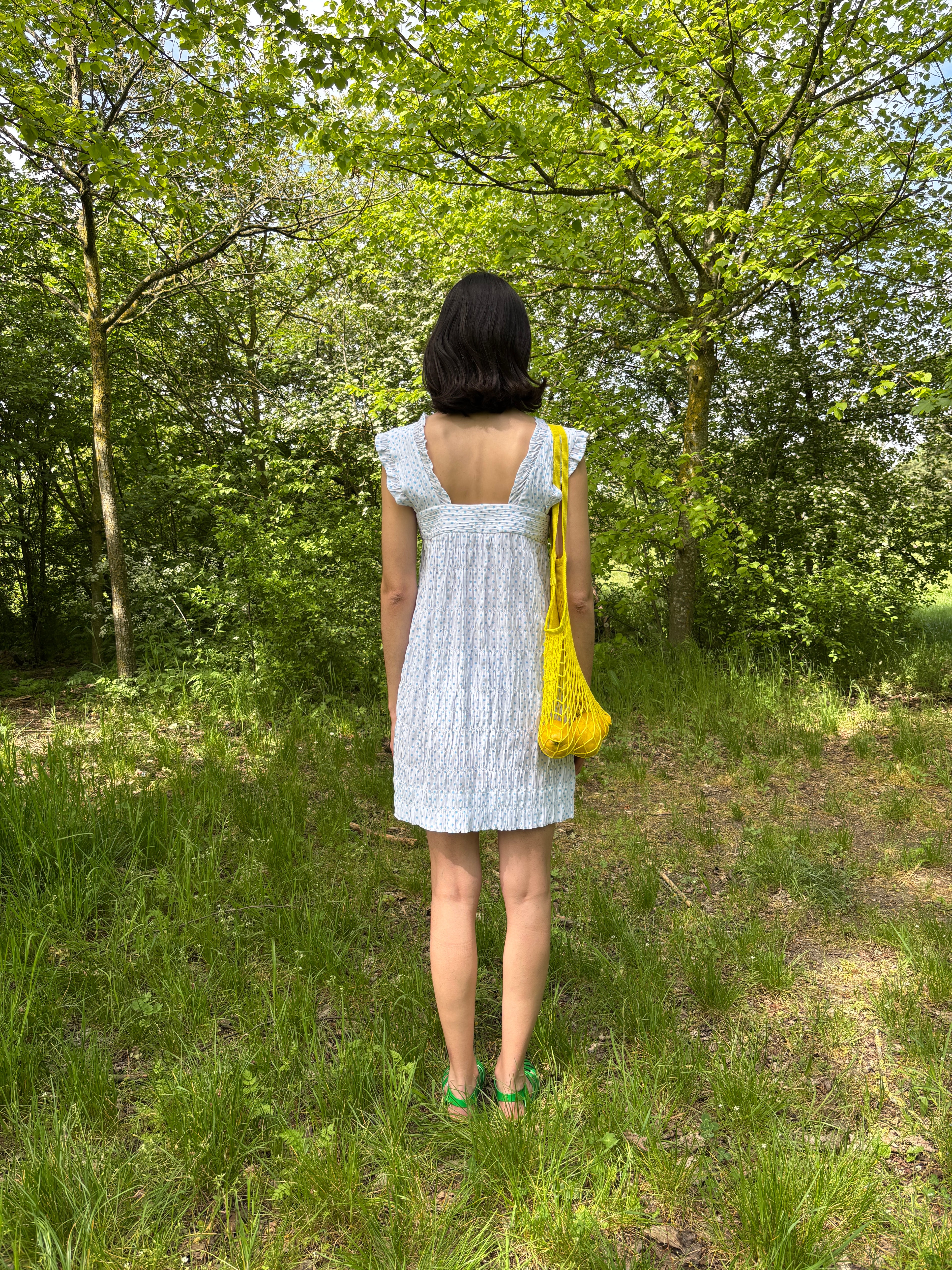Picnic Dress