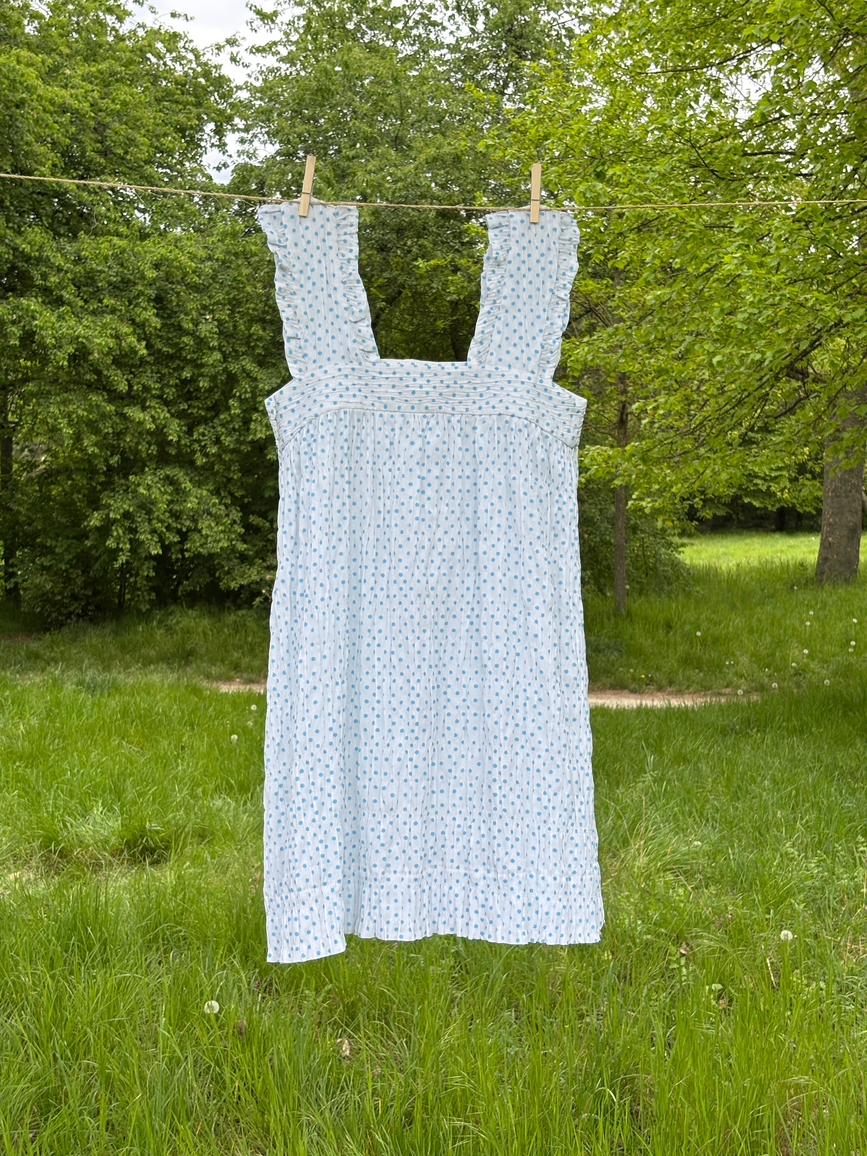 Picnic Dress