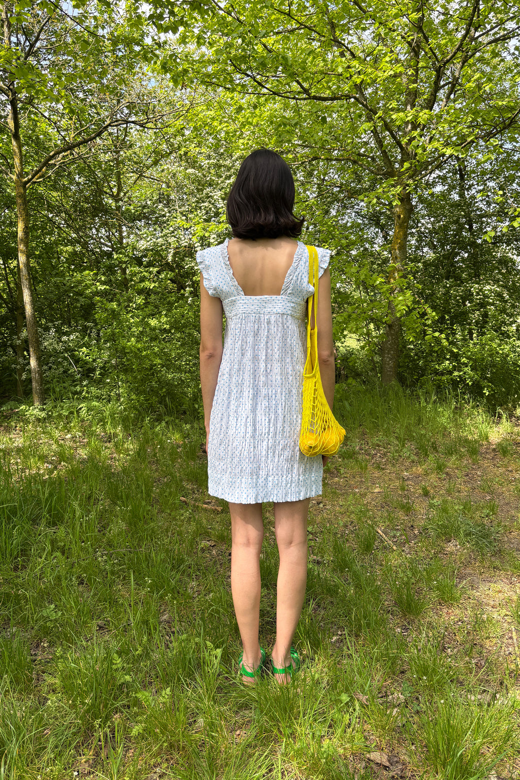 Picnic Dress