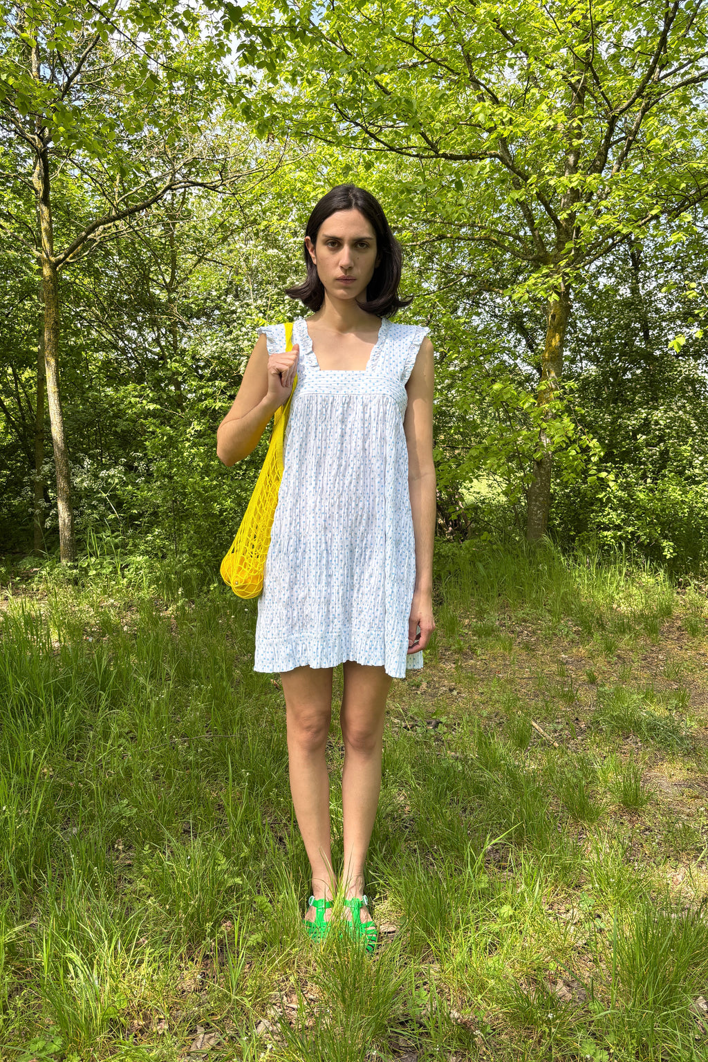 Picnic Dress