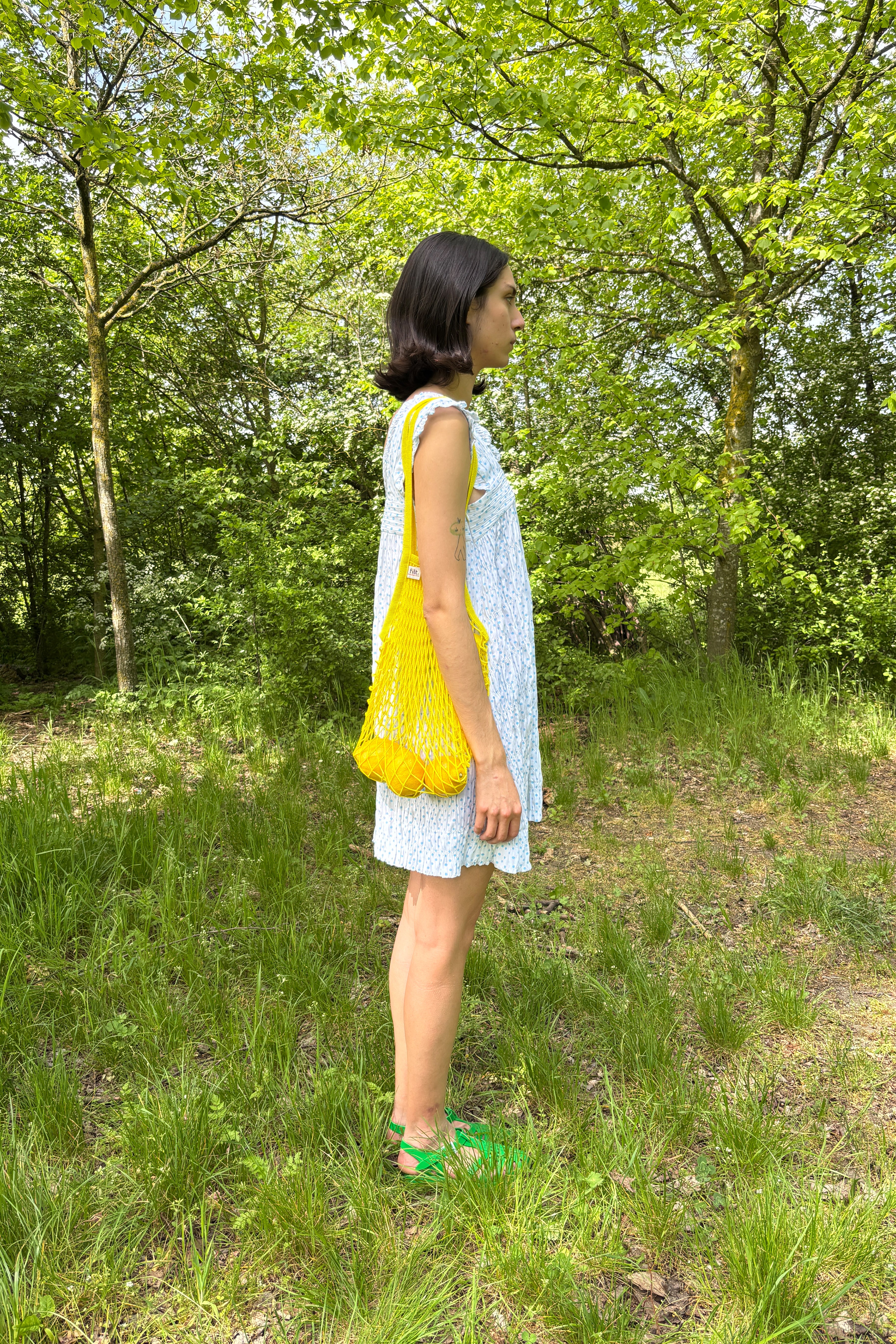 Picnic Dress