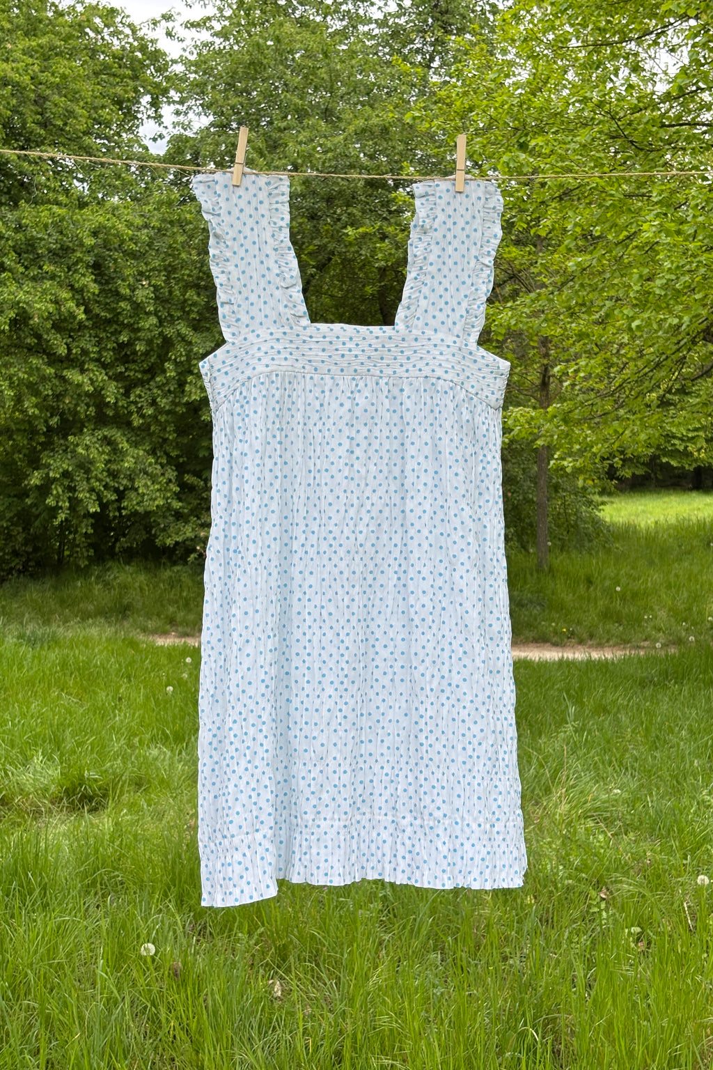 Picnic Dress